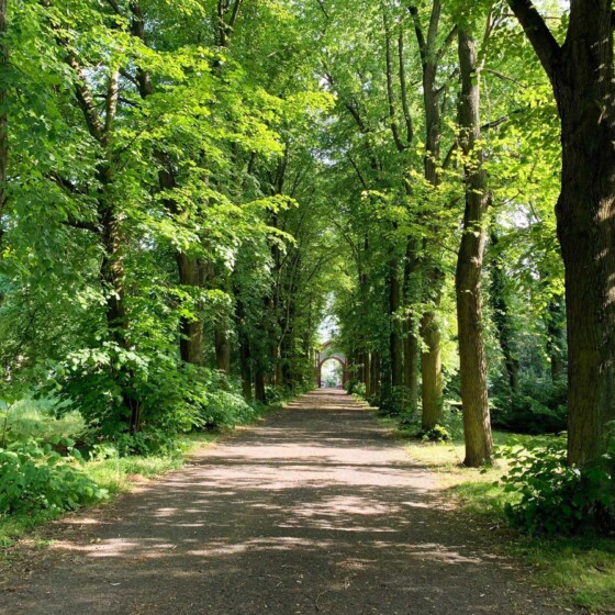 Areal vom Projekt Campus Schätzelberg