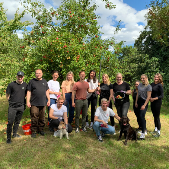 Social Day beim Verein Das Geld hängt an den Bäumen