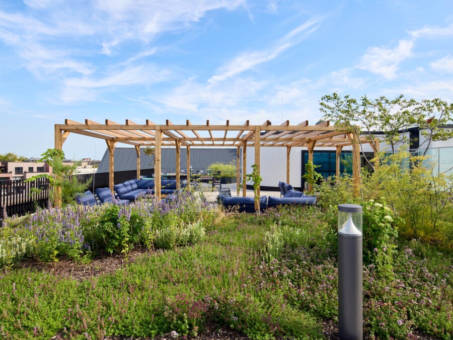 Dachterrasse mit zahlreichen Grünflächen auf den Bürogebäuden im Quartier maxfrei